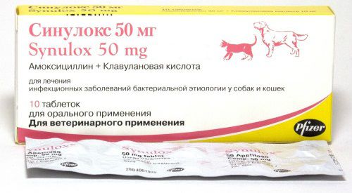 Синулокс 50мг №10 Pfiser купить, цена в ветаптеке Багира Симферополь, Крым
