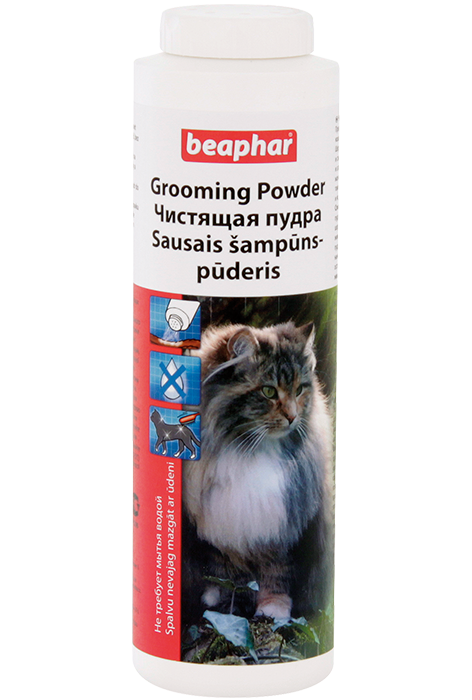 шампунь Beaphar сухой-пудра 100г для кошек  фото, цены, купить