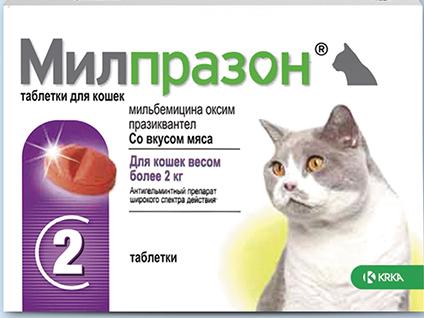 Милпразон для кошек более 2кг (2 таблетки) фото, цены, купить