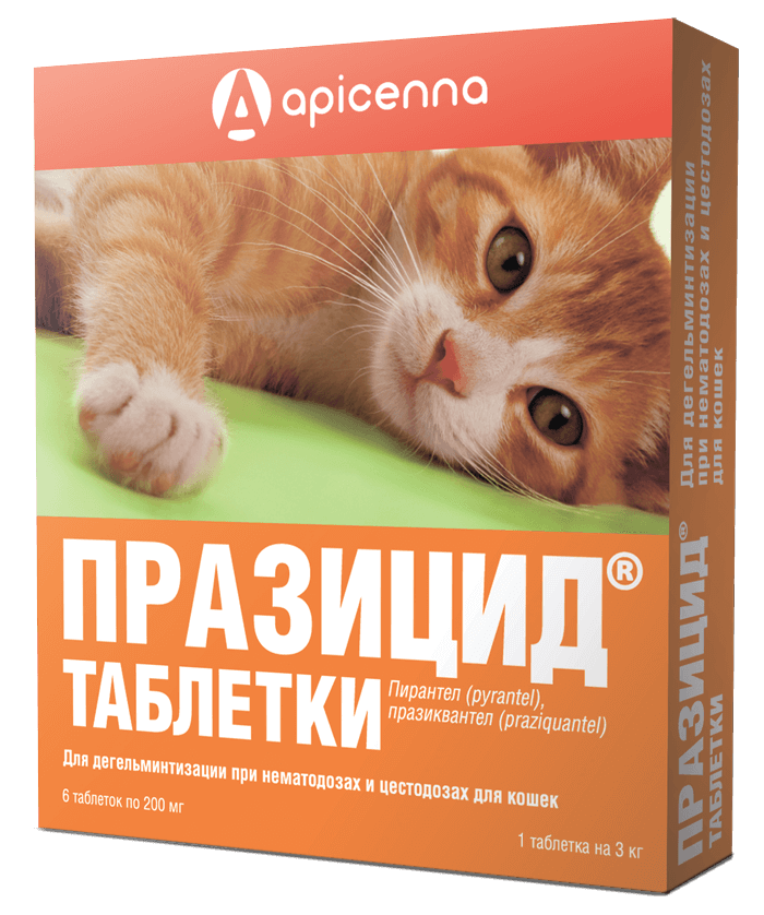 ПРАЗИЦИД 6 таблеток для кошек купить, цена в интернет-магазине Багира  Симферополь, Крым